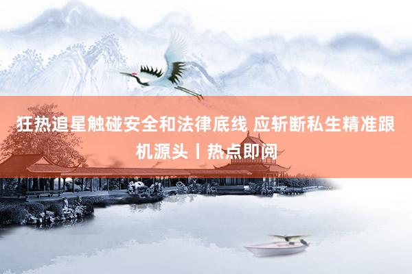 狂热追星触碰安全和法律底线 应斩断私生精准跟机源头丨热点即阅