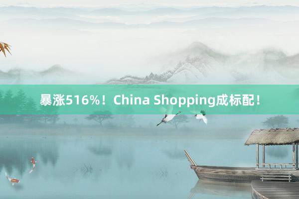 暴涨516%！China Shopping成标配！