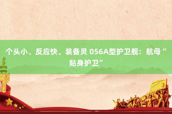 个头小、反应快、装备灵 056A型护卫舰：航母“贴身护卫”