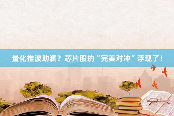 量化推波助澜？芯片股的“完美对冲”浮现了！
