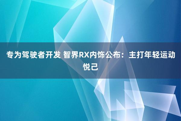 专为驾驶者开发 智界RX内饰公布：主打年轻运动悦己