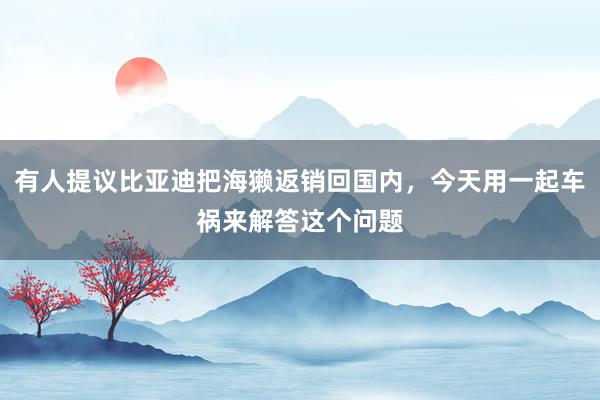 有人提议比亚迪把海獭返销回国内，今天用一起车祸来解答这个问题