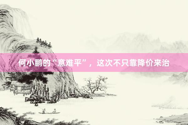 何小鹏的“意难平”，这次不只靠降价来治