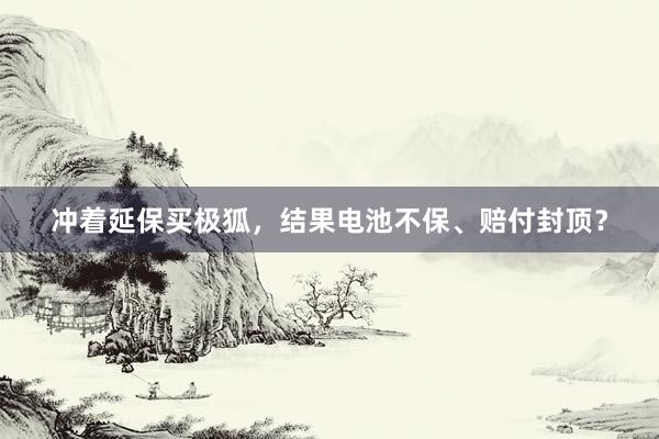 冲着延保买极狐，结果电池不保、赔付封顶？