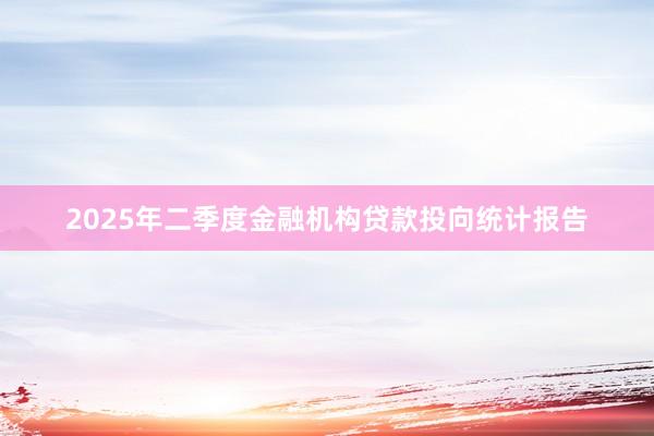 2025年二季度金融机构贷款投向统计报告