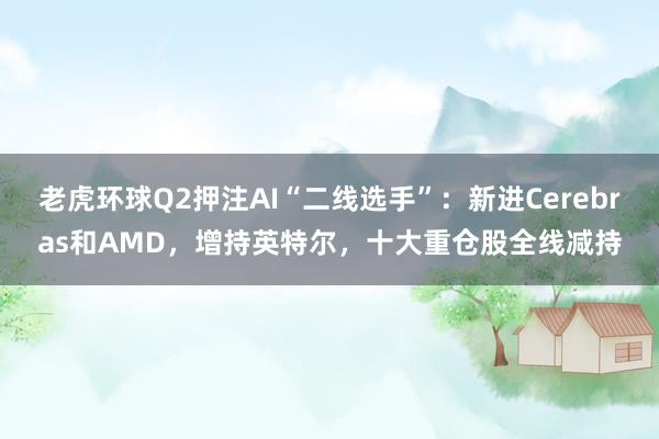 老虎环球Q2押注AI“二线选手”：新进Cerebras和AMD，增持英特尔，十大重仓股全线减持