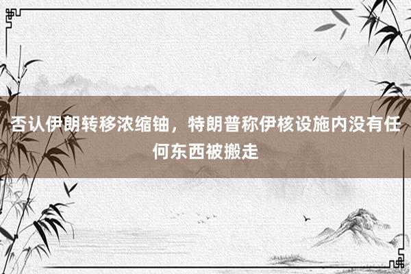 否认伊朗转移浓缩铀，特朗普称伊核设施内没有任何东西被搬走