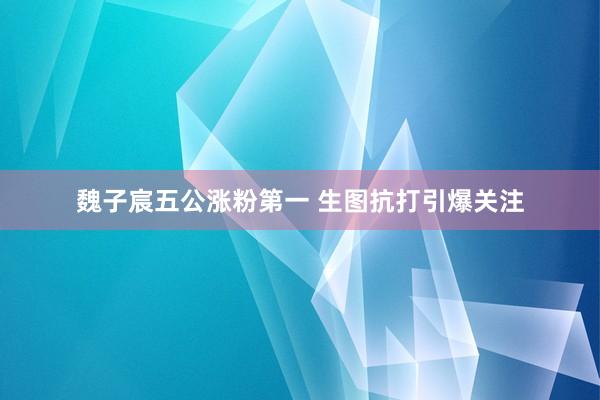 魏子宸五公涨粉第一 生图抗打引爆关注