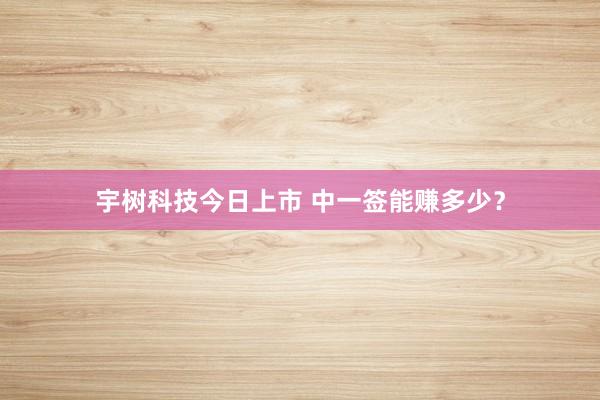 宇树科技今日上市 中一签能赚多少？