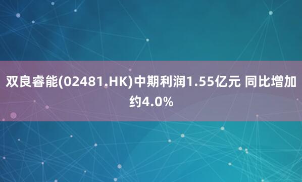 双良睿能(02481.HK)中期利润1.55亿元 同比增加约4.0%