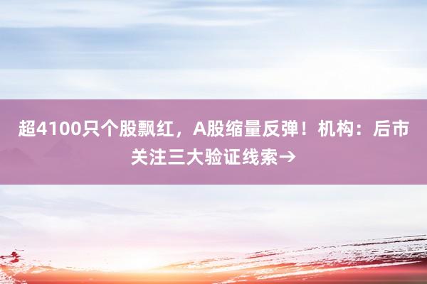 超4100只个股飘红，A股缩量反弹！机构：后市关注三大验证线索→