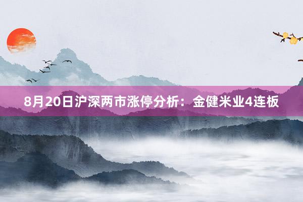 8月20日沪深两市涨停分析：金健米业4连板
