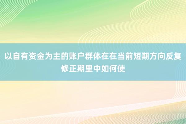 以自有资金为主的账户群体在在当前短期方向反复修正期里中如何使