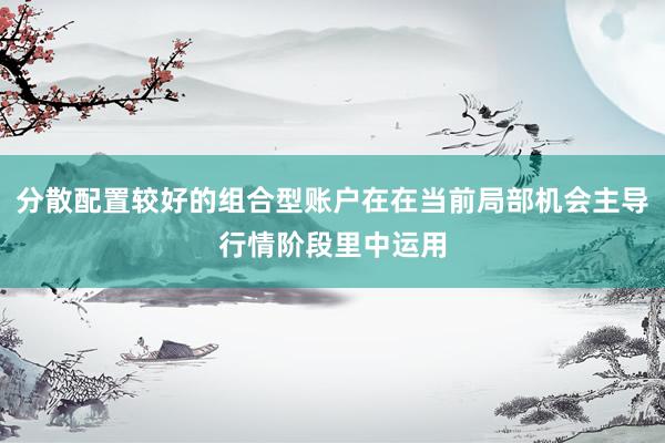 分散配置较好的组合型账户在在当前局部机会主导行情阶段里中运用