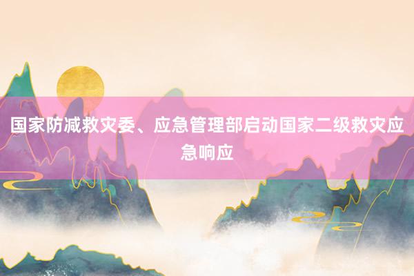 国家防减救灾委、应急管理部启动国家二级救灾应急响应