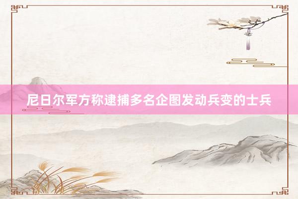尼日尔军方称逮捕多名企图发动兵变的士兵