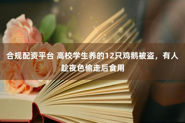 合规配资平台 高校学生养的12只鸡鹅被盗，有人趁夜色偷走后食用
