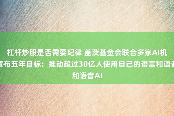 杠杆炒股是否需要纪律 盖茨基金会联合多家AI机构宣布五年目标:推动超过30亿人使用自己的语言和语音AI